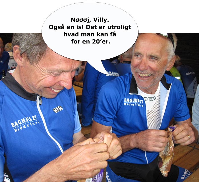 is villy niels