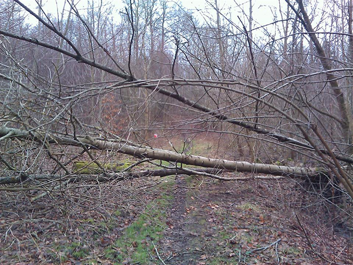 mtbo vaeltettrae